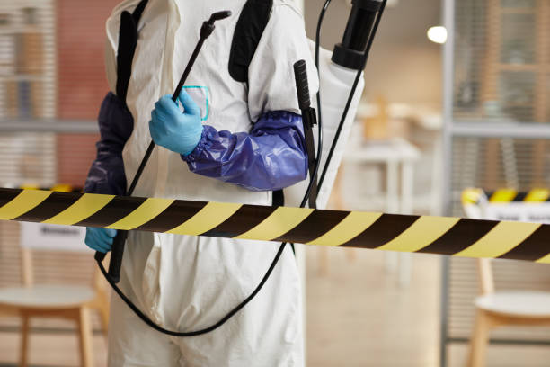 Professional Sewage Cleanup technician working in Eden, UT